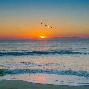 Meet your Posher, Joan